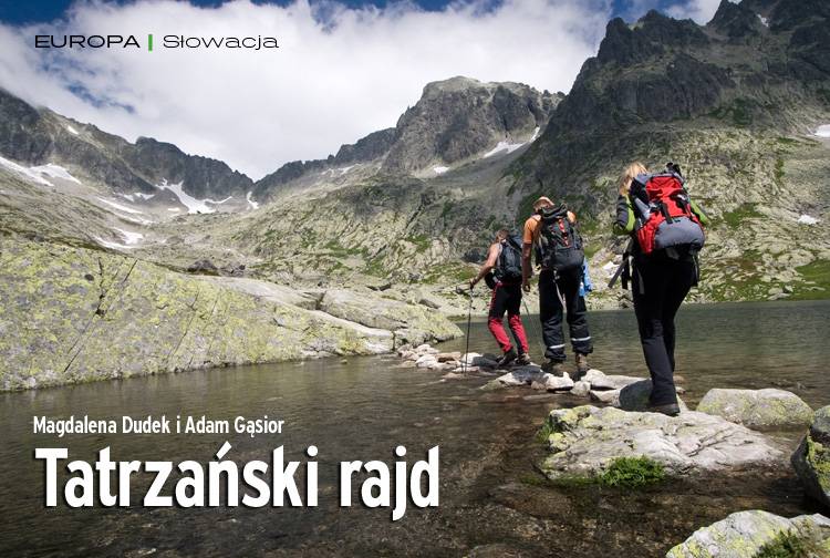 Losowy darmowy artykuł